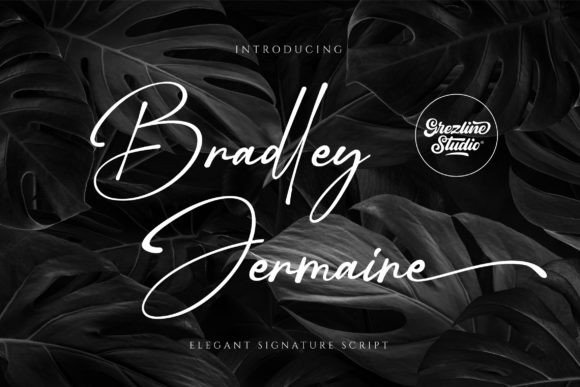 Bradley Jermaine: A Luxurious Handwritten Font for Branding