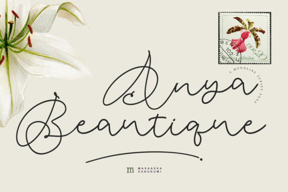 Choosing Anya Beautique for a Modern Web Design Project