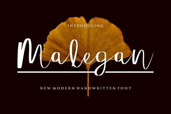 Malegan: A Script Font That Elevates Brand Campaigns