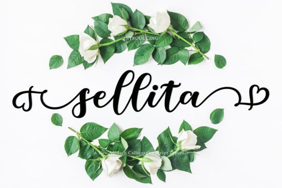 Sellita Script Font for Web Design